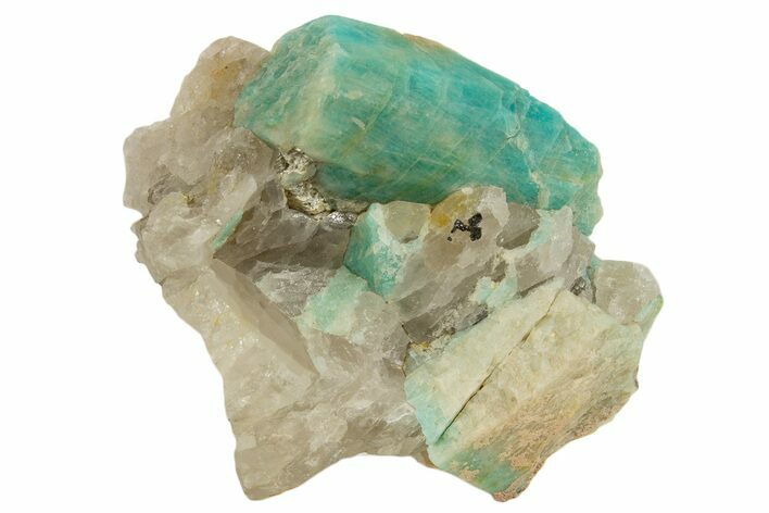 Teal Blue Amazonite Crystal on Smoky Quartz - Colorado #338206
